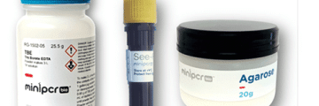 Agarose and SeeGreen